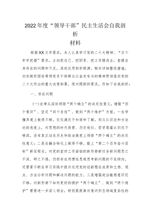 2022年度“领导干部”民主生活会自我剖析材料.docx