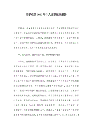 班子成员2023年个人述职述廉报告.docx