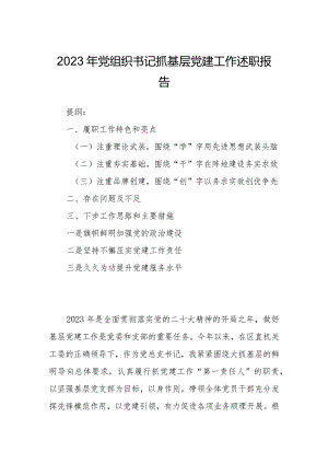 2023年党组织书记抓基层党建工作述职报告.docx