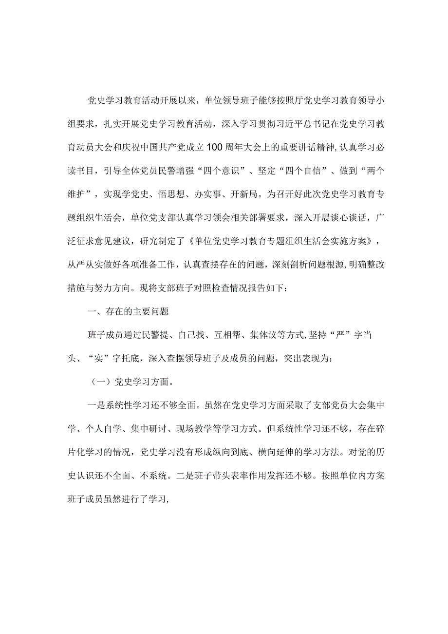 2021专题组织生活会班子检视材料一.docx_第2页