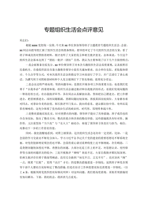 专题组织生活会点评意见.docx
