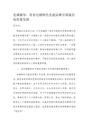 党课辅导：培育过硬特色党建品牌 引领基层高质量发展.docx