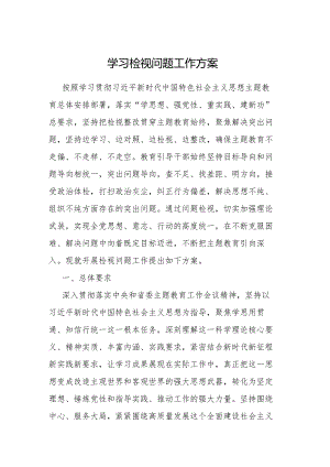2023年主题教育检视问题学习工作方案.docx