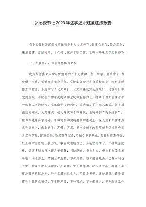 乡纪委书记2023年述学述职述廉述法报告.docx