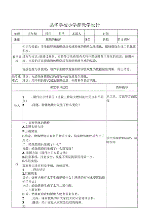 2.燃烧的秘密.docx