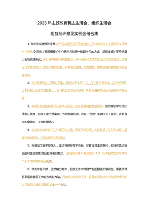 2023年主题教育民主生活会、组织生活会相互批评意见实例金句合集.docx