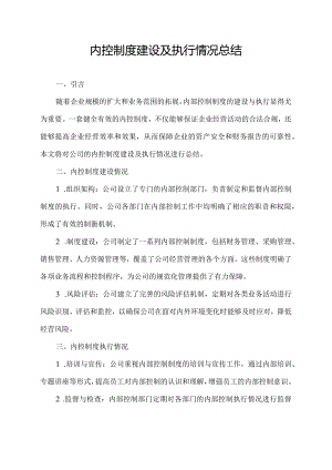 内控制度建设及执行情况总结.docx