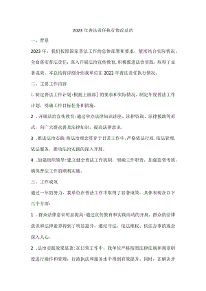 2023年普法责任执行情况总结.docx