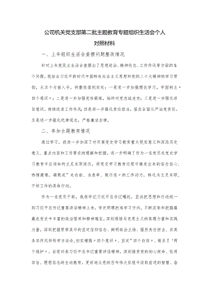 公司机关党支部第二批主题教育专题组织生活会个人对照材料.docx