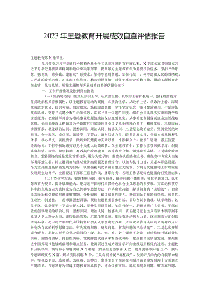 2023年主题教育开展成效自查评估报告.docx