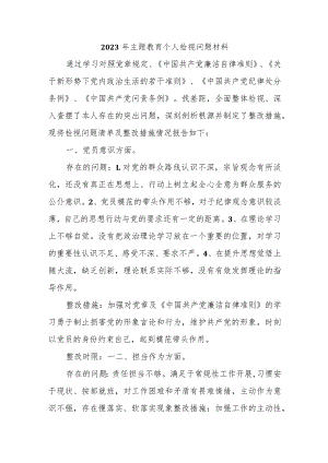2023年主题教育个人检视问题材料.docx