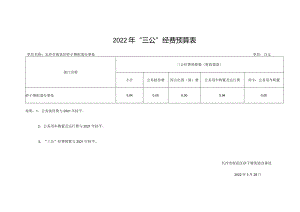 2022年“三公”经费预算表.docx