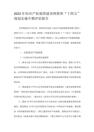 2023年知识产权强国建设纲要和“十四五”规划实施中期评估报告.docx