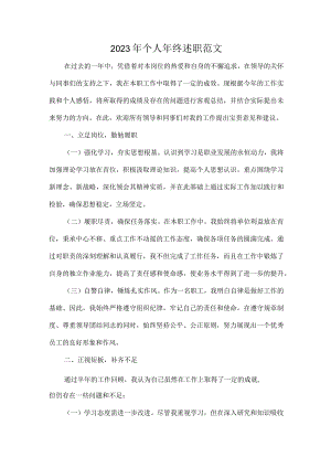 2023年个人年终述职范文.docx