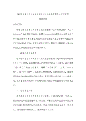 2023年度公司机关党支部组织生活会和开展民主评议党员.docx