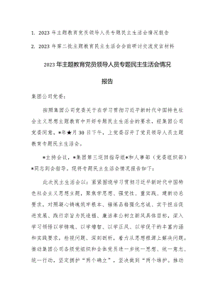 2023年主题教育党员领导人员专题民主生活会情况报告及会前发言范文2篇汇编.docx