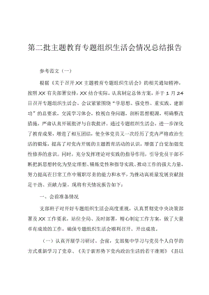第二批主题教育专题组织生活会情况总结报告（参考范文）.docx