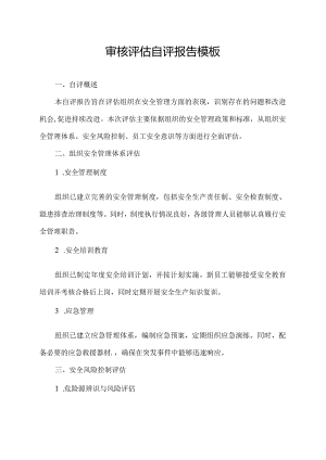 审核评估自评报告模板.docx