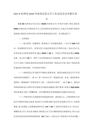 XXX市水利局XXXX年政务信息公开工作总结及自评报告范文.docx