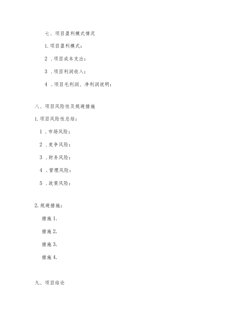 13-项目风控报告通用模板.docx_第3页