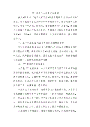 四个检视个人检查发言提纲.docx