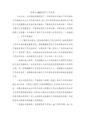 巡察办2023意识工作总结.docx