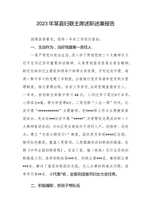 2023年度某县妇联主席个人述职述廉报告.docx