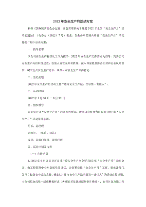 2022年安全生产月活动方案.docx