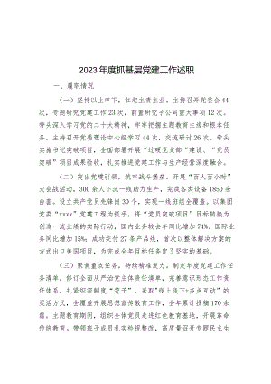2023年度抓基层党建工作述职.docx