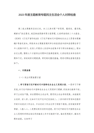 2023年度主题教育专题民主生活会个人对照检查.docx