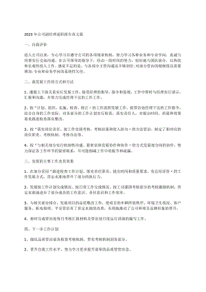 2023年公司副经理述职报告范文篇.docx