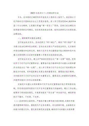 2023年度单位个人党建述职总结.docx