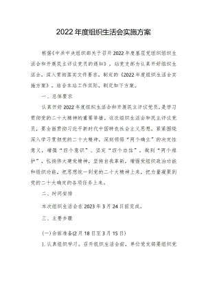 2022年度组织生活会实施方案.docx