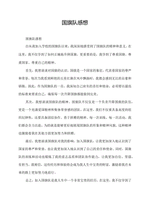 国旗队感想.docx