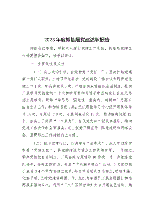 2023年度抓基层党建述职报告.docx