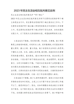2023年民主生活会相互批评意见实例.docx