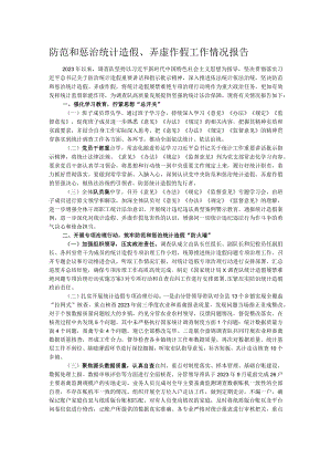 防范和惩治统计造假、弄虚作假工作情况报告.docx