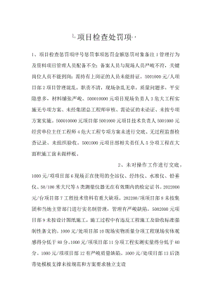 -项目检查处罚项-.docx