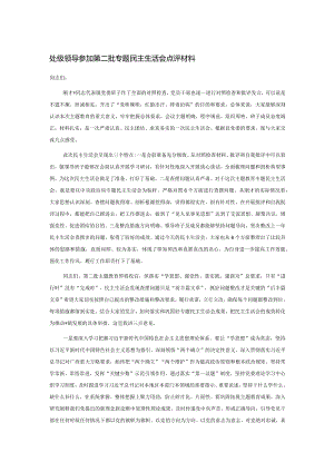 处级领导参加第二批专题民主生活会点评材料.docx