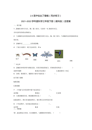 2-5茧中钻出了蚕蛾（练习）-2021-2022学年科学三年级下册.docx