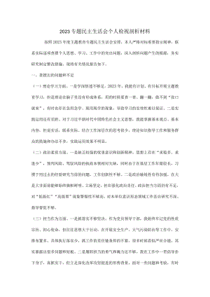 2023专题民主生活会个人检视剖析材料.docx