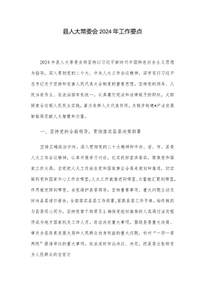 县人大常委会2024年工作要点.docx