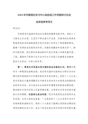 2023年市委理论学习中心组巡视工作专题研讨交流会发言参考范文.docx
