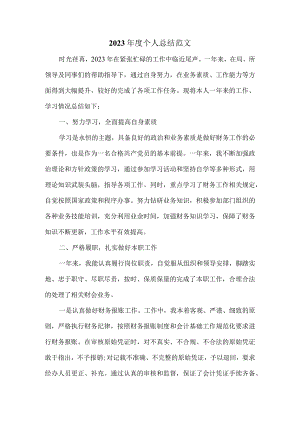 2023年度个人总结范文二.docx