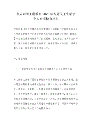 市局副职主题教育2023年专题民主生活会个人对照检查材料.docx