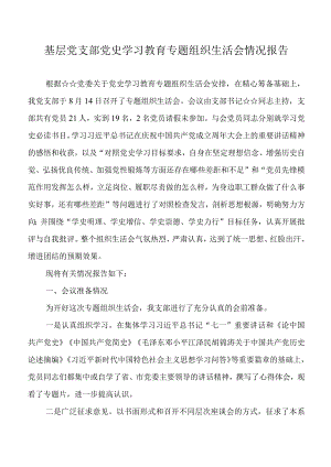 2021年基层党支部党史学习教育专题组织生活会情况报告.docx