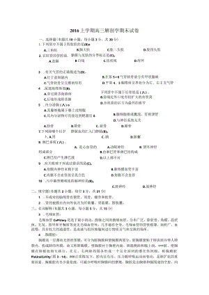 2016解剖学答案.docx
