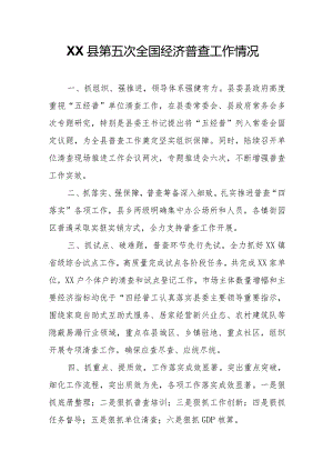 XX县第五次全国经济普查工作情况.docx