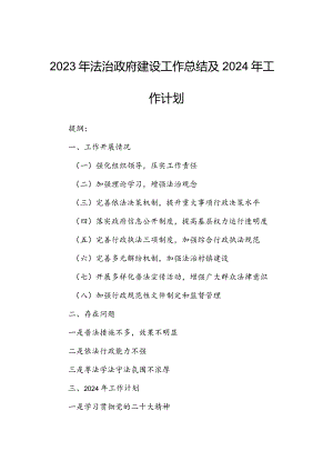 2023年法治政府建设工作总结及2024年工作计划.docx