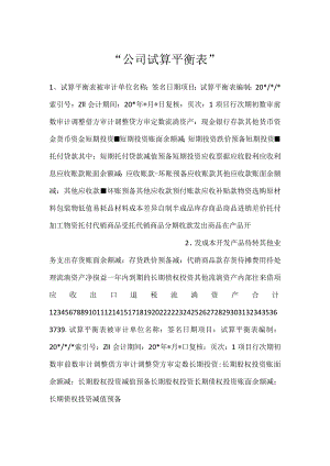 -公司试算平衡表-.docx